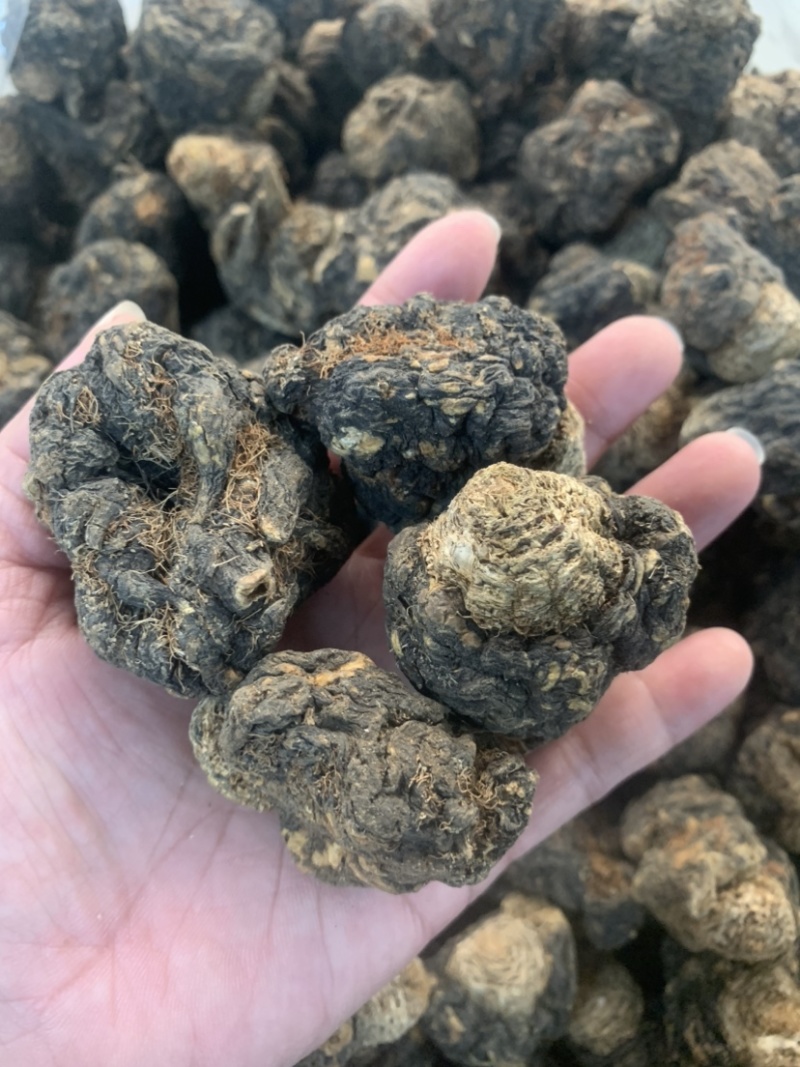 产地直发丽江黑玛咖玛卡干果干片人工挑选