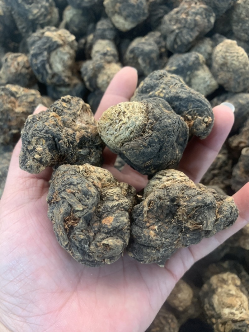 产地直发丽江黑玛咖玛卡干果干片人工挑选