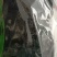 头水紫菜产地直发保质保量营养丰富量大优惠对接全国