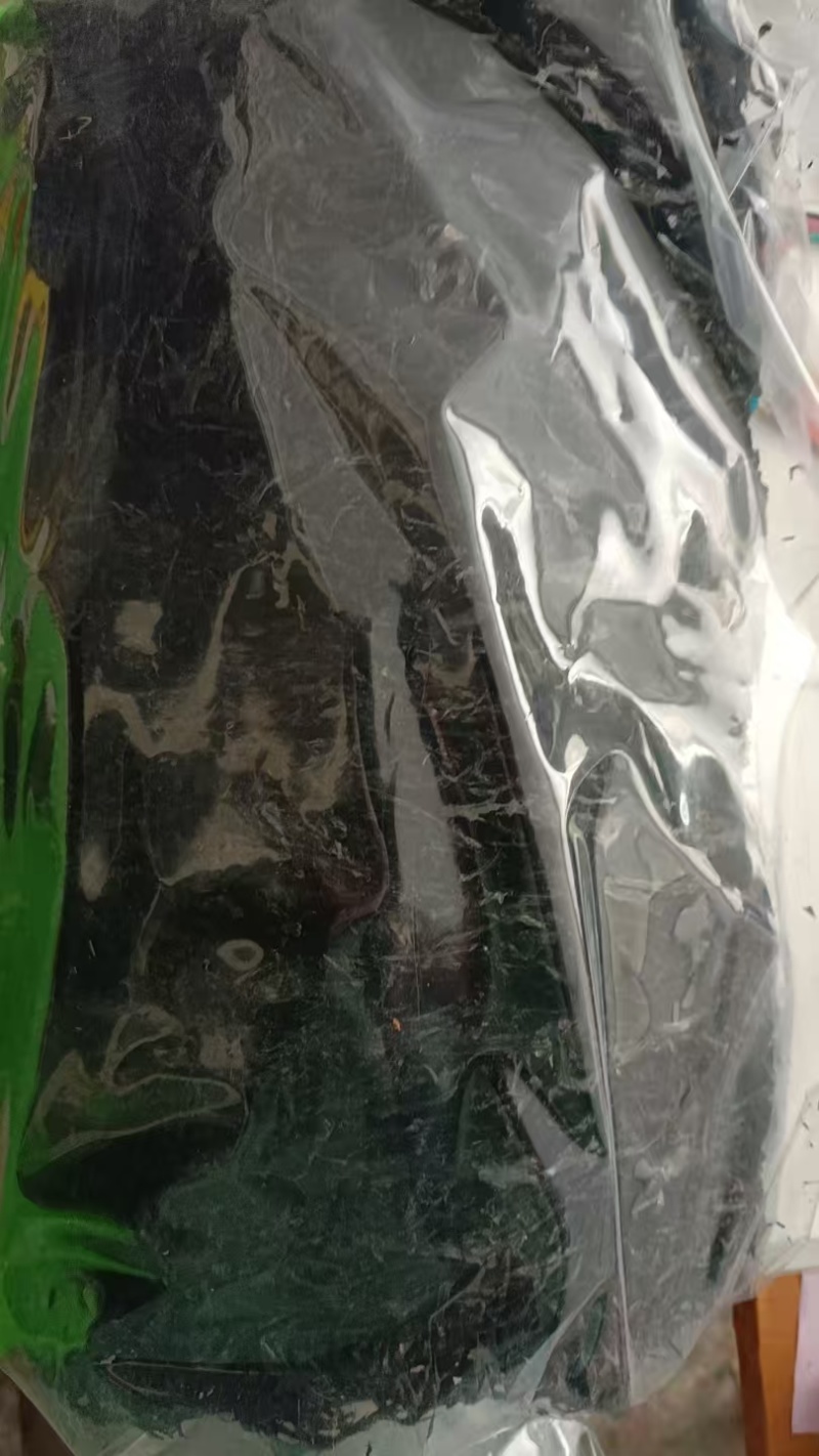 头水紫菜产地直发保质保量营养丰富量大优惠对接全国
