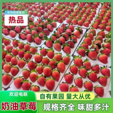 德昌奶油草莓各种平台一件代发，批发市场，诚信经营