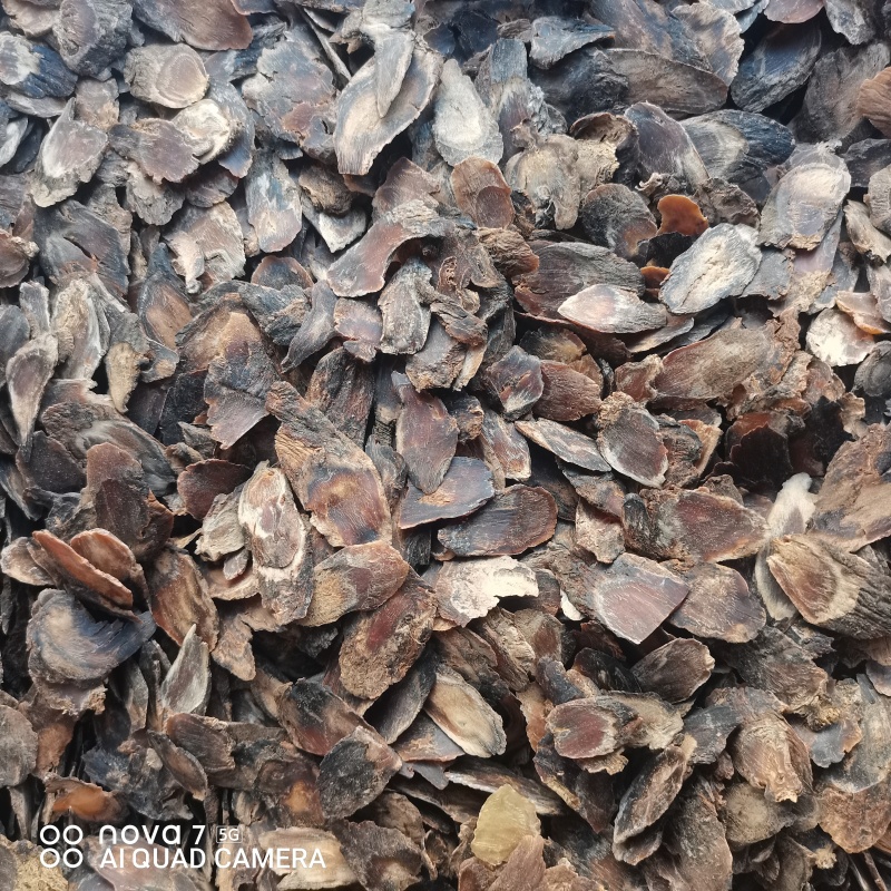 老参片老参皮片正品保证量大从优一斤包邮