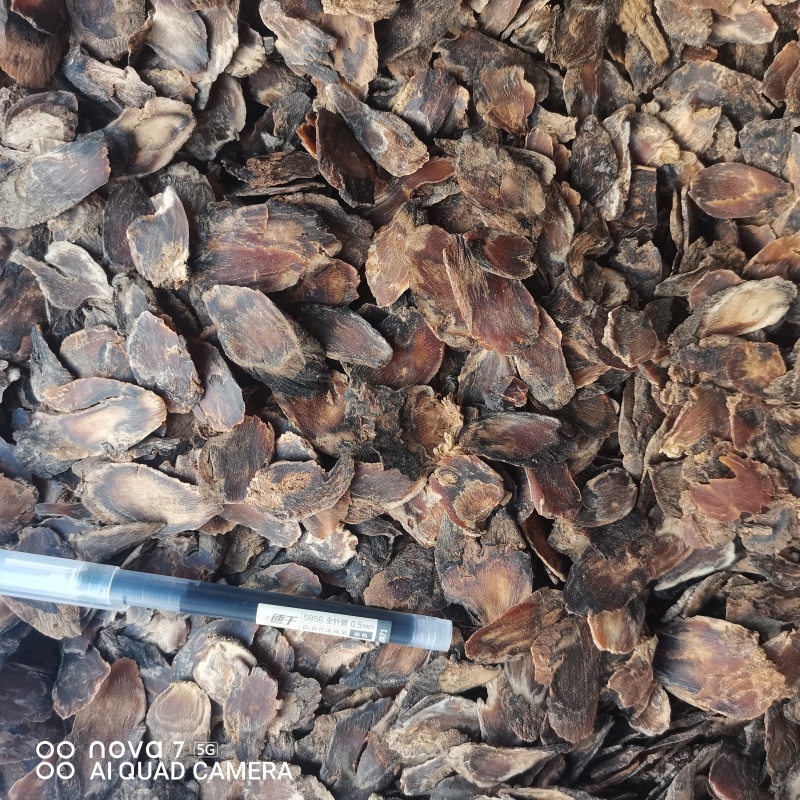 老参片老参皮片正品保证量大从优一斤包邮