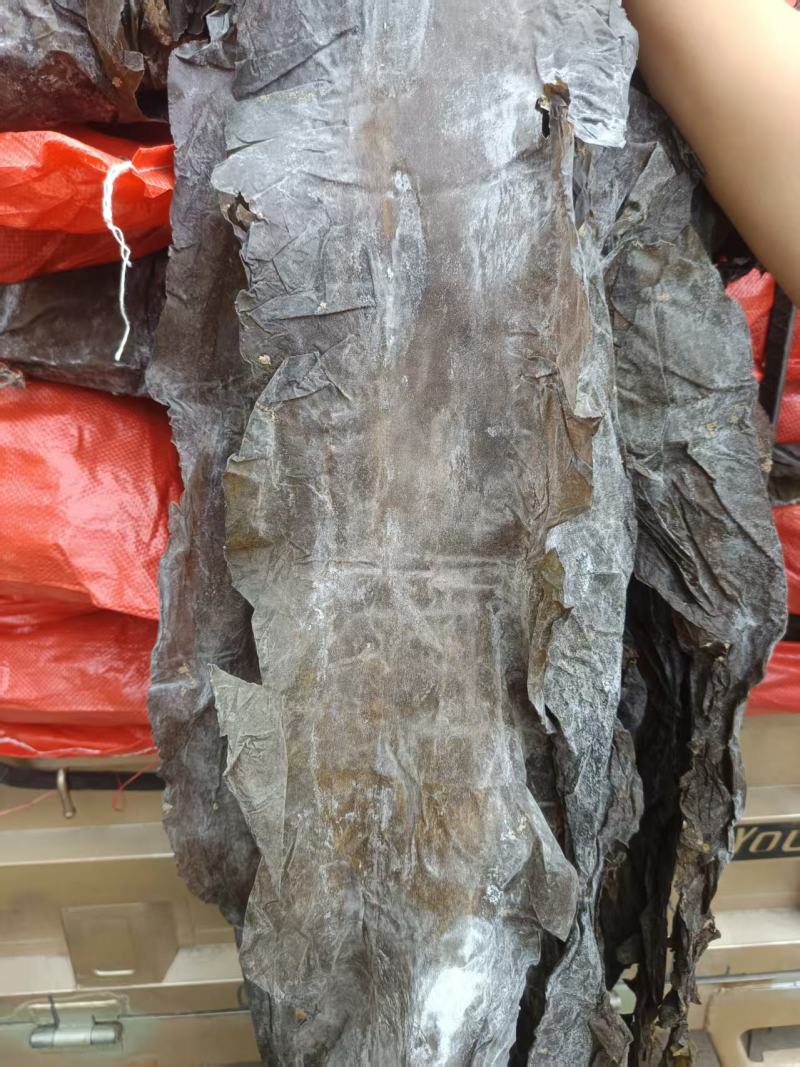 去尾，盐泽，海带头产品很多1件起批常年批发