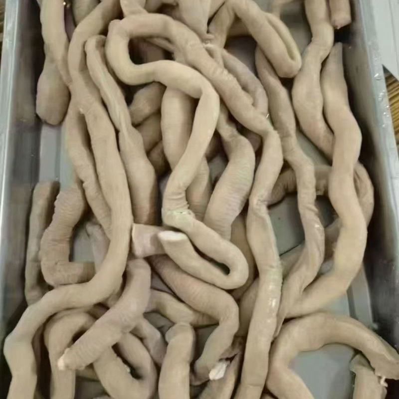 精品牛小园肠