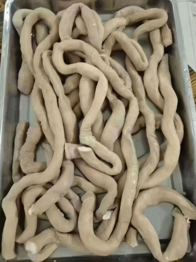 精品牛小园肠