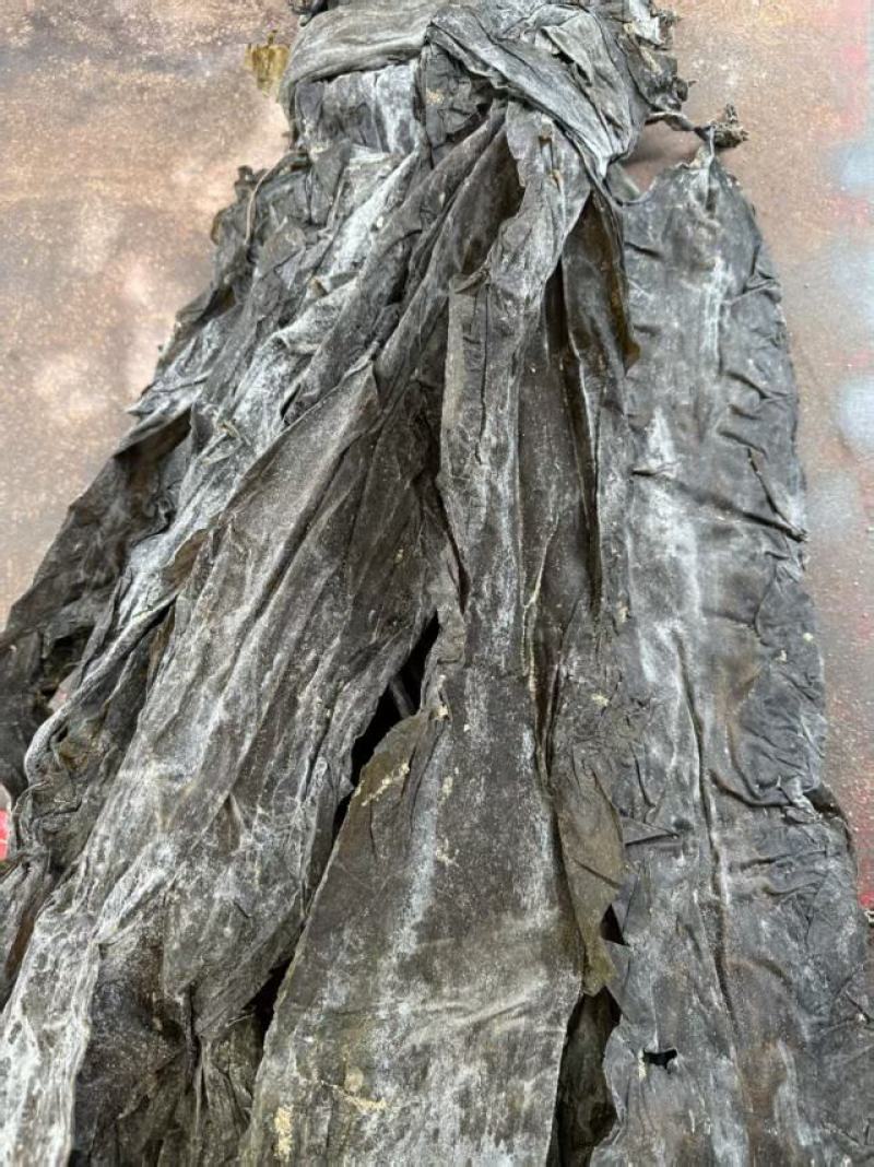 去尾，盐泽，海带头产品很多1件起批常年批发