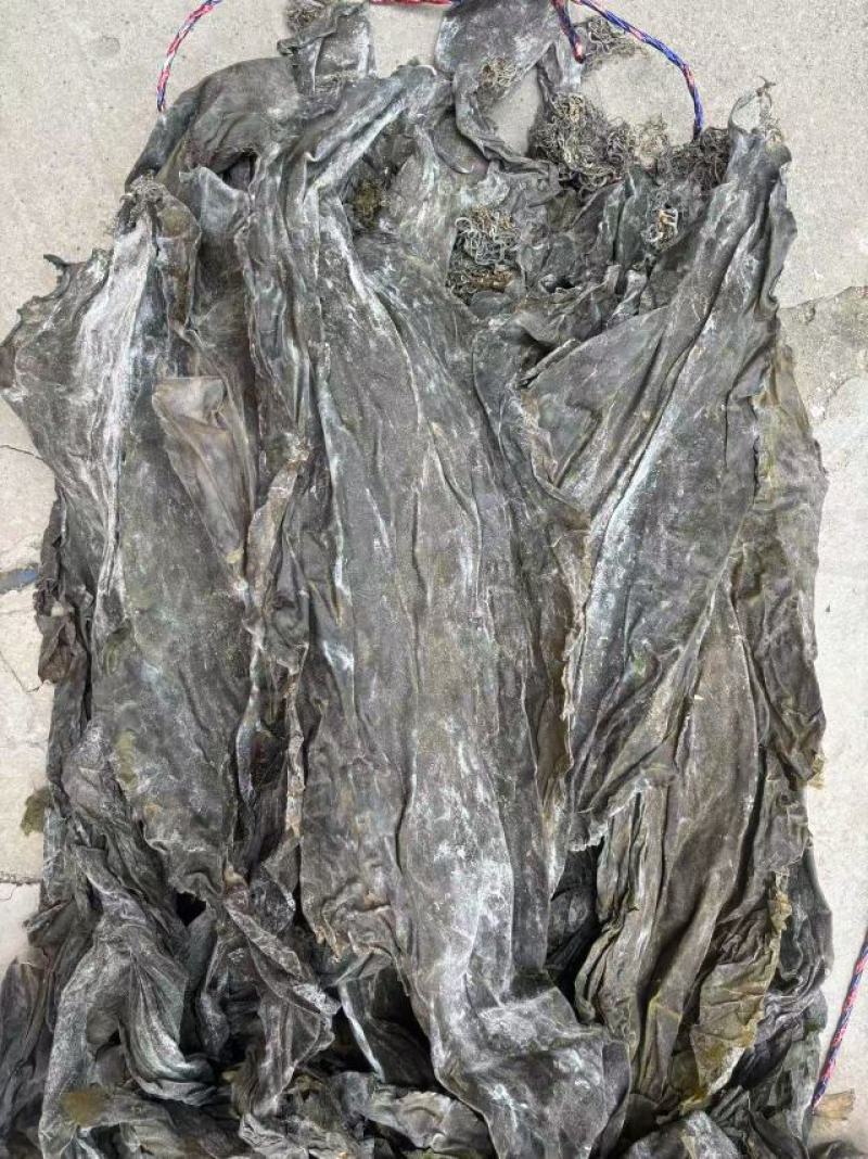 去尾，盐泽，海带头产品很多1件起批常年批发
