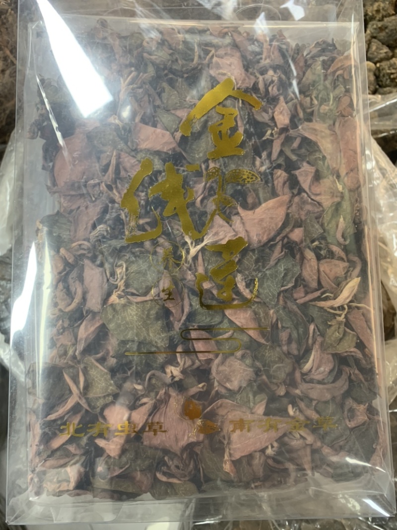 金线莲、林下种植、干度颜色好一手货源品质保证、量大从优