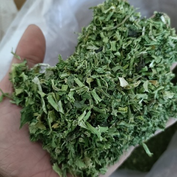 **脱水香菜出厂，大量现货，有需要的老板联系