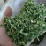 **脱水香菜出厂，大量现货，有需要的老板联系