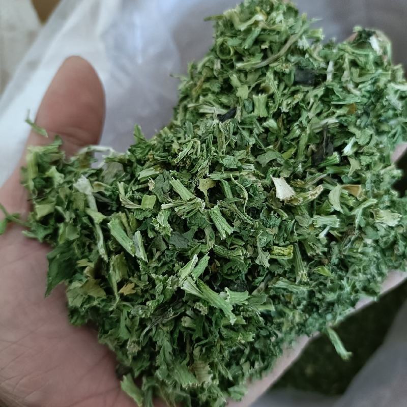 **脱水香菜出厂，大量现货，有需要的老板联系