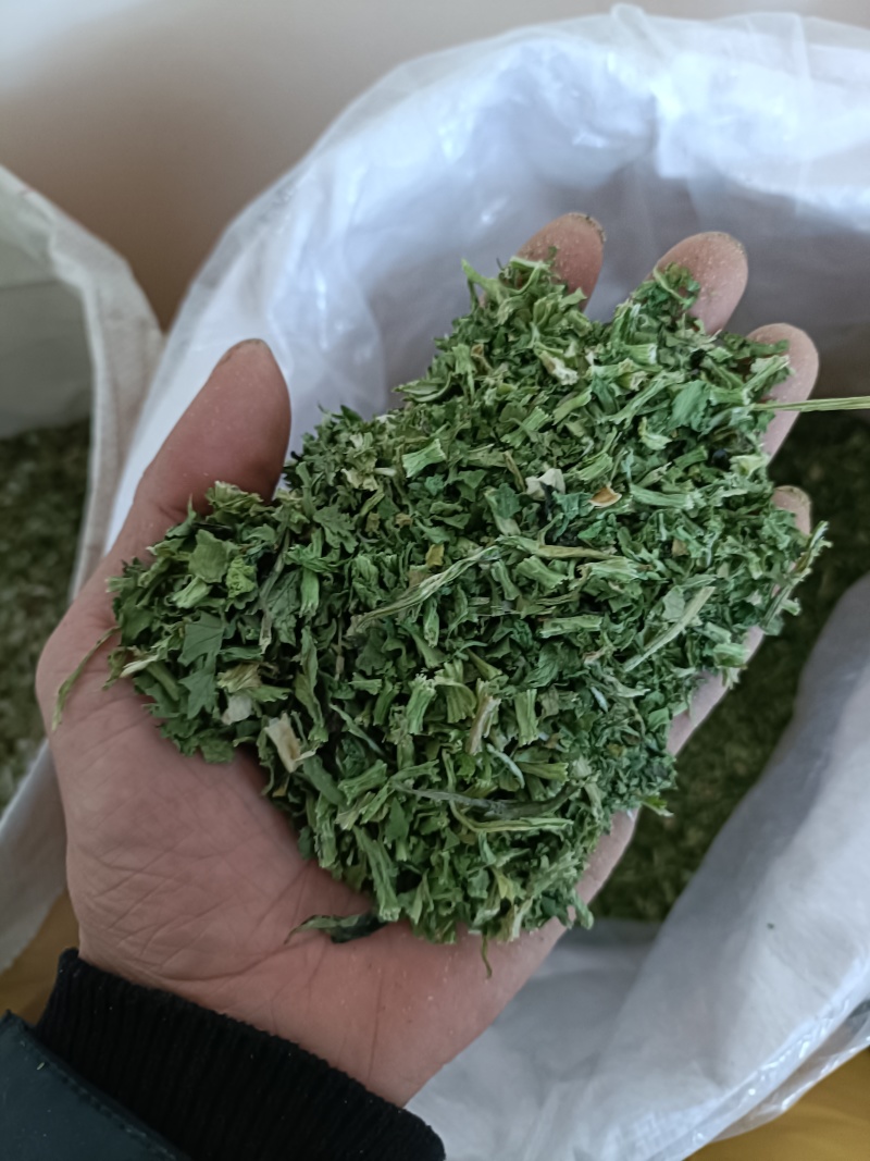 **脱水香菜出厂，大量现货，有需要的老板联系