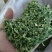 **脱水香菜出厂，大量现货，有需要的老板联系