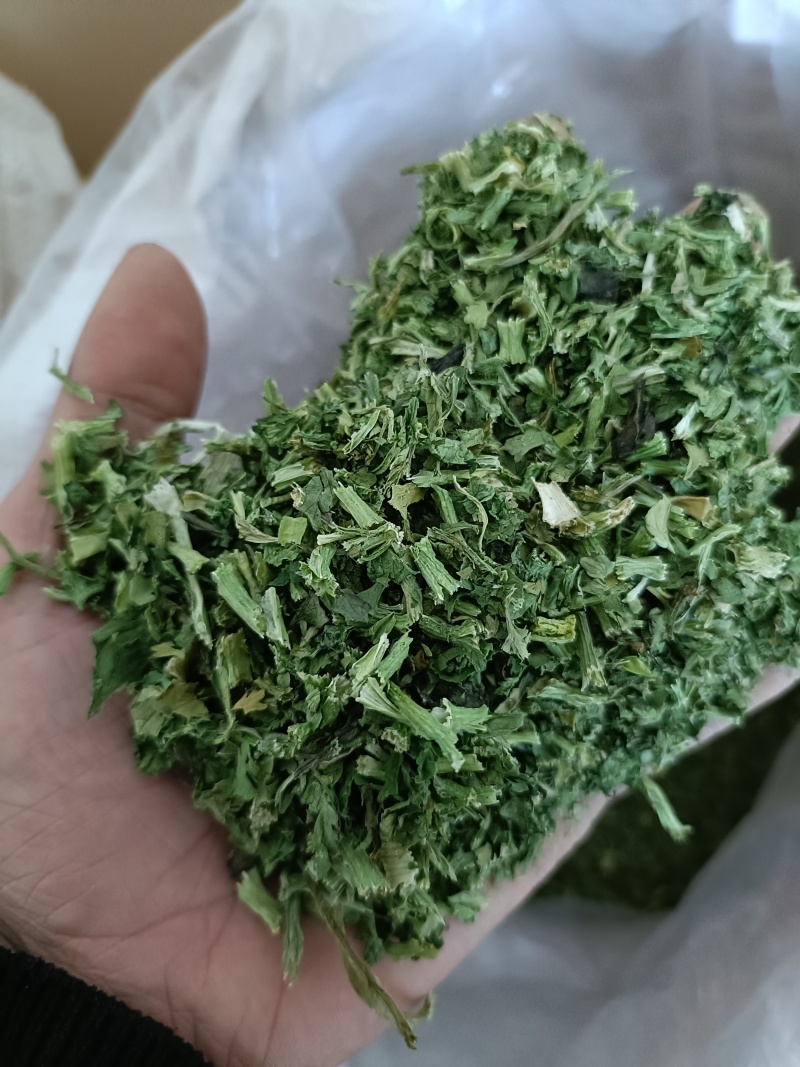 **脱水香菜出厂，大量现货，有需要的老板联系