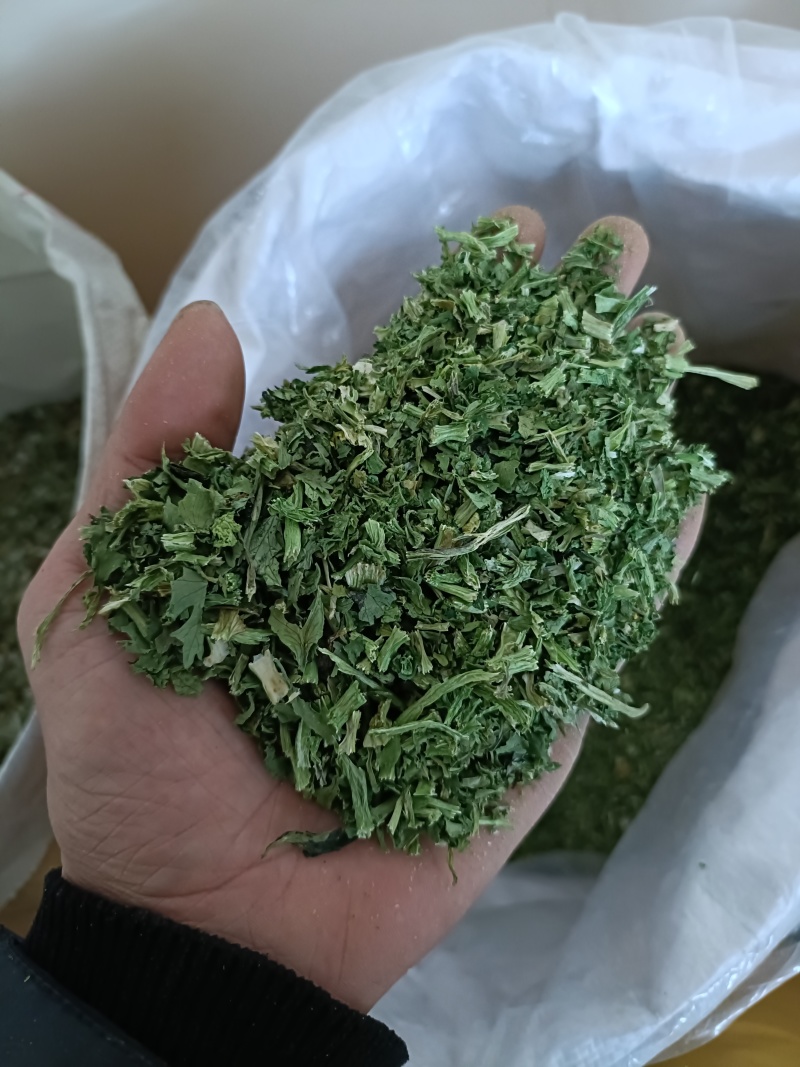 **脱水香菜出厂，大量现货，有需要的老板联系