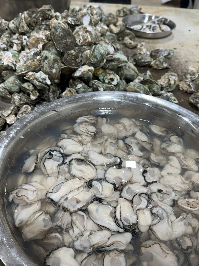 生蚝肉，牡蛎肉，源头直发，餐饮店，连锁店，二批欢迎对接