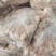 拐骨带皮拐骨。新货新鲜日期厂家直发。品种齐全。直发厂家