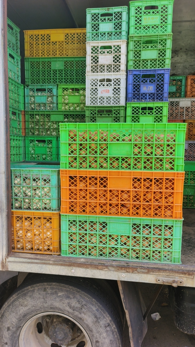 鸡蛋批发