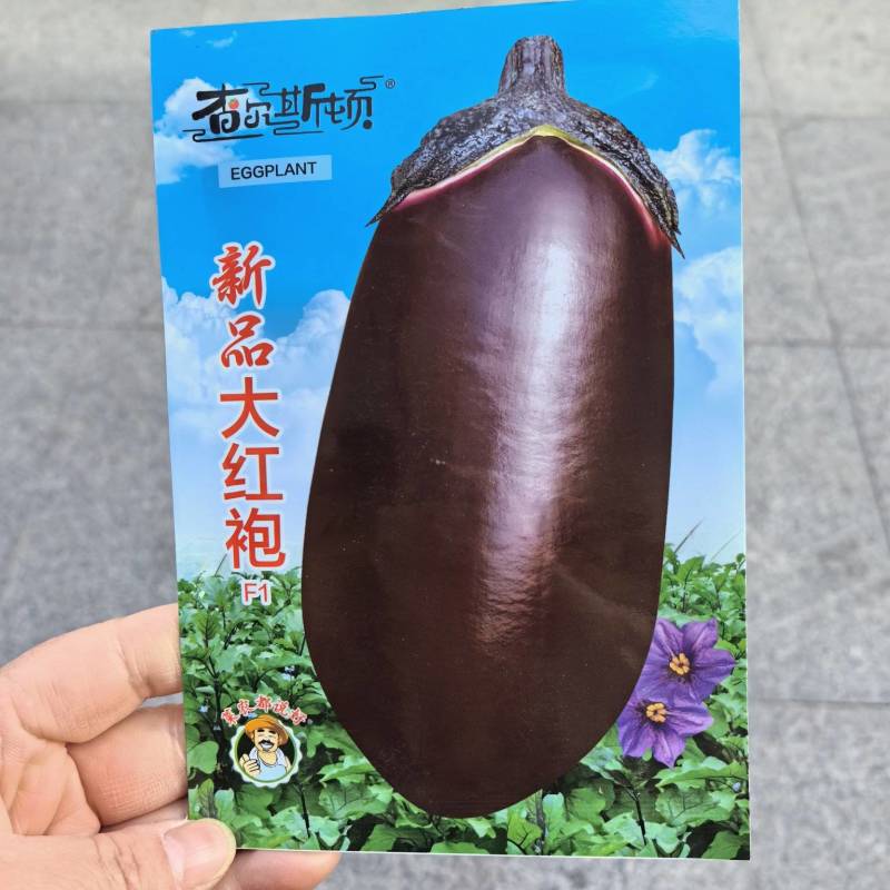 新品大红袍紫红茄种籽肉质松软细腻高产春秋播种面包茄种子