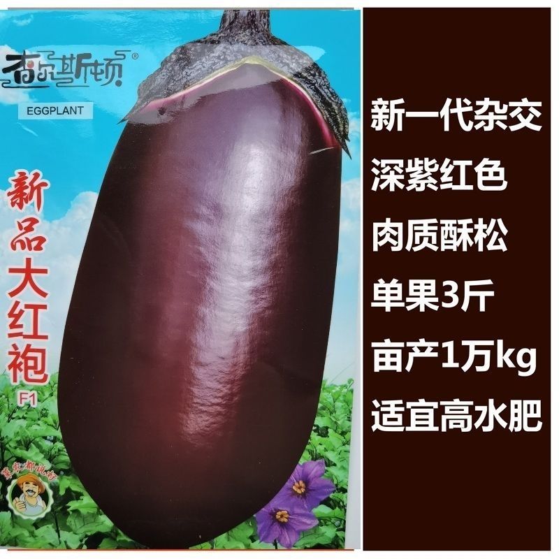 新品大红袍紫红茄种籽肉质松软细腻高产春秋播种面包茄种子