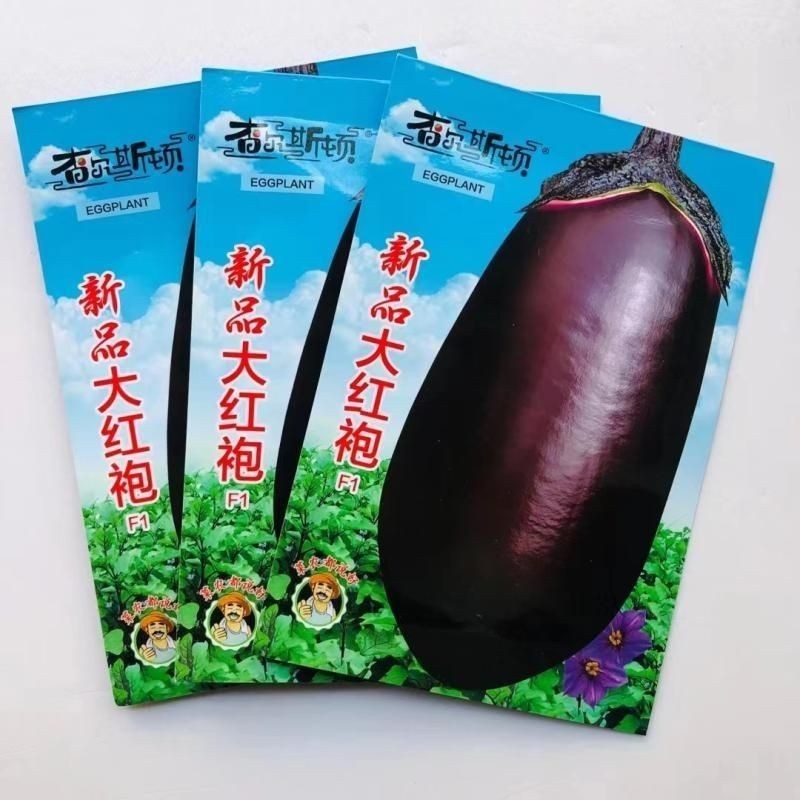 新品大红袍紫红茄种籽肉质松软细腻高产春秋播种面包茄种子