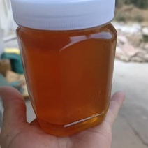 土蜂蜜口感好价格实惠运输便利欢迎电联