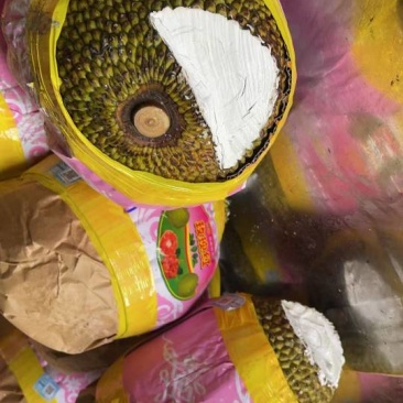 印尼红肉菠萝蜜专做a2通货批发