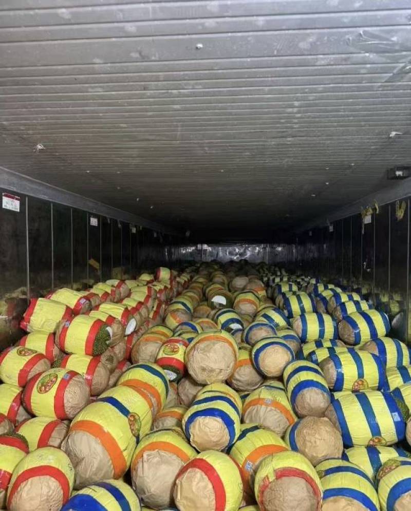 印尼红肉菠萝蜜专做a2通货批发