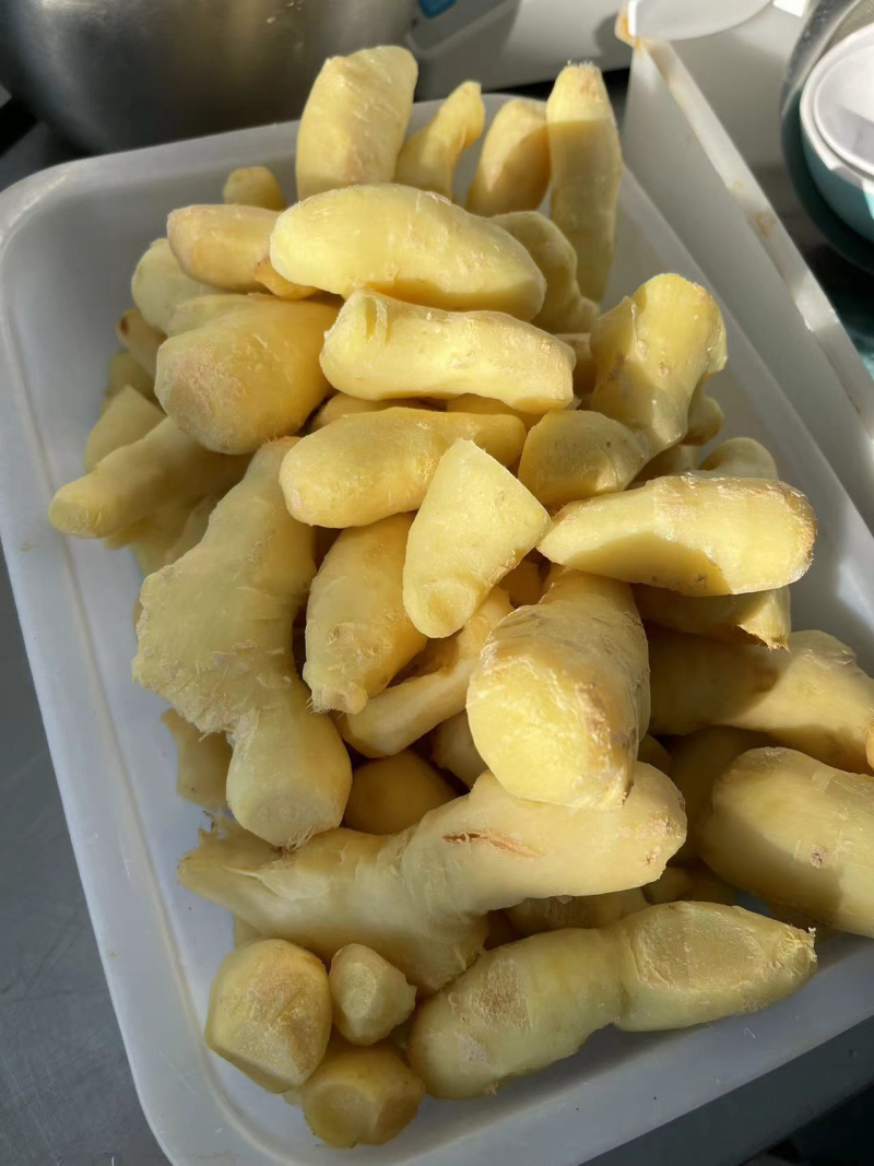 【鲅鱼馅】包饺子包馄饨餐饮用