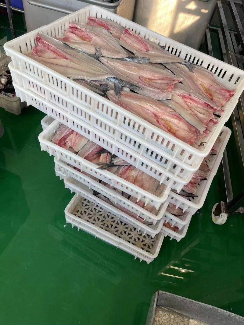 【鲅鱼馅】包饺子包馄饨餐饮用