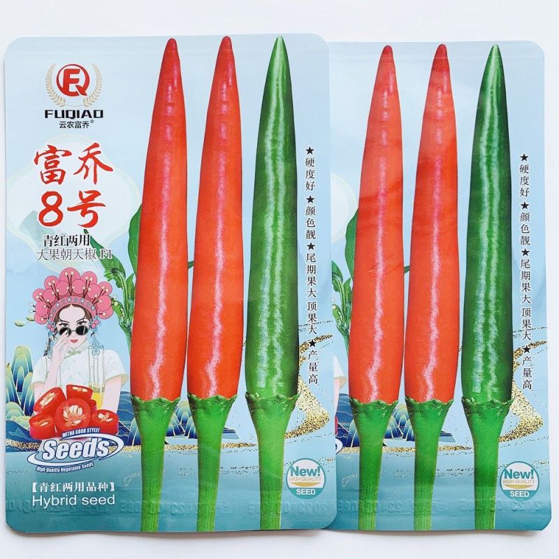 富乔8号朝天椒种子早熟大果滑皮椒朝天辣椒种子产量高硬度好