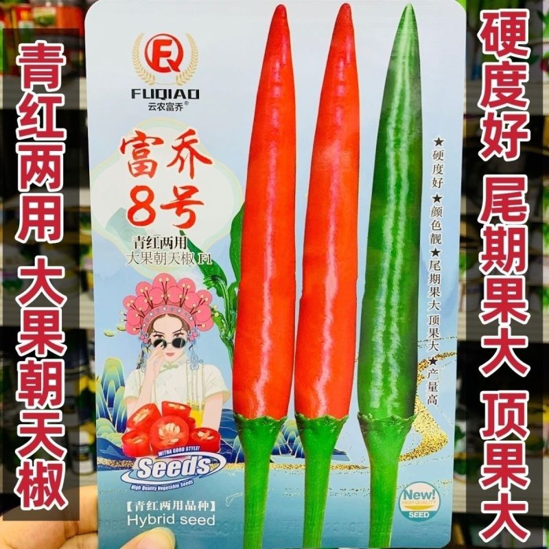 富乔8号朝天椒种子早熟大果滑皮椒朝天辣椒种子产量高硬度好