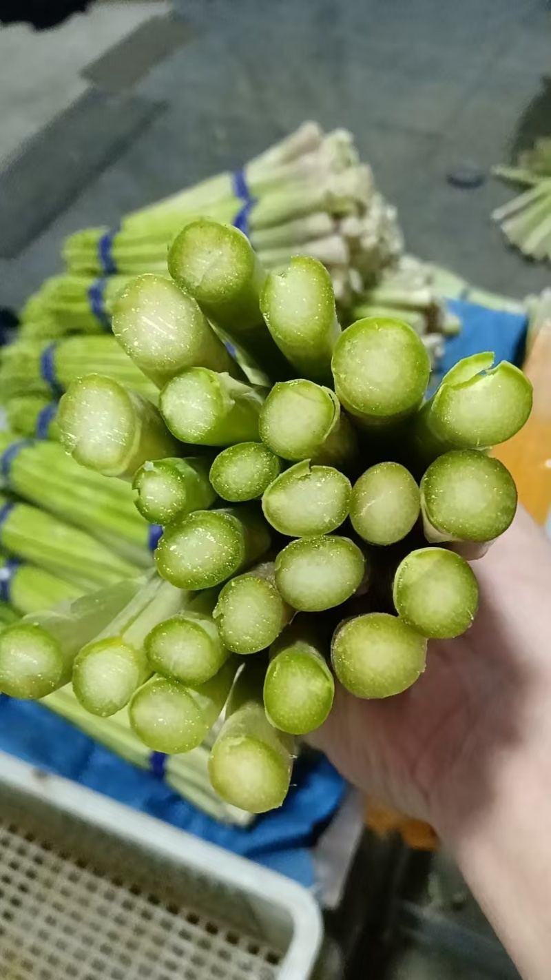 芦笋新鲜绿芦笋现摘现发一手货源产地直供欢迎咨询