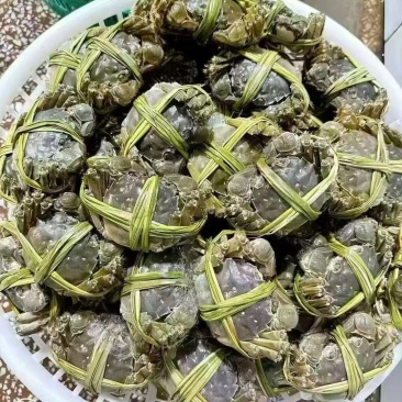 螃蟹河蟹大闸蟹江苏大闸蟹膏汁多口感好价格实惠欢迎老板联系