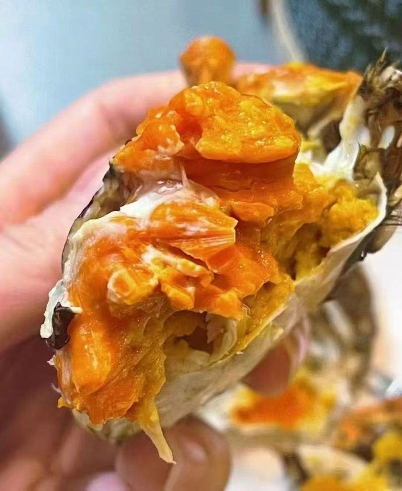 螃蟹河蟹大闸蟹江苏大闸蟹膏汁多口感好价格实惠欢迎老板联系