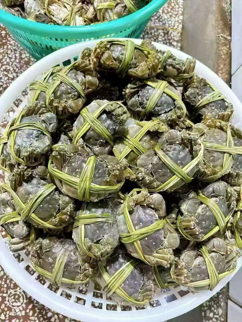 螃蟹河蟹大闸蟹江苏大闸蟹膏汁多口感好价格实惠欢迎老板联系