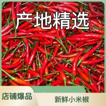 精品新苗小米红尖椒今日报价，品质有保障，要的联系