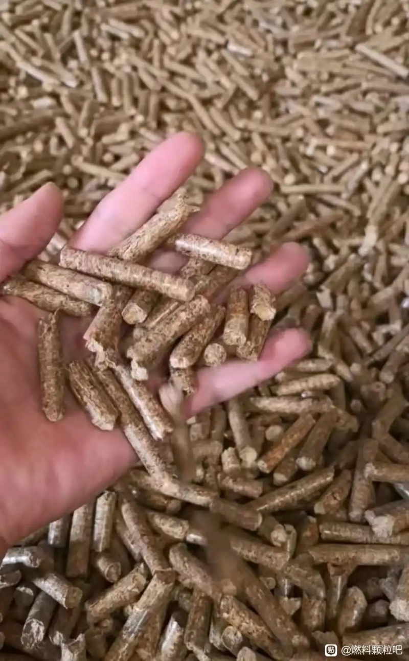 燃料