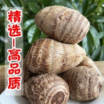 山东奶心小芋头一件代发1/3/5斤精选中球个个软糯包售后