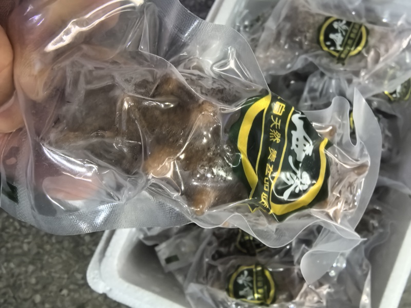 【鲜食海参】活体海参深加工，肉质肥厚口感艮揪，参刺粗壮