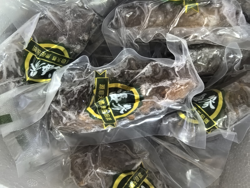 【鲜食海参】活体海参深加工，肉质肥厚口感艮揪，参刺粗壮