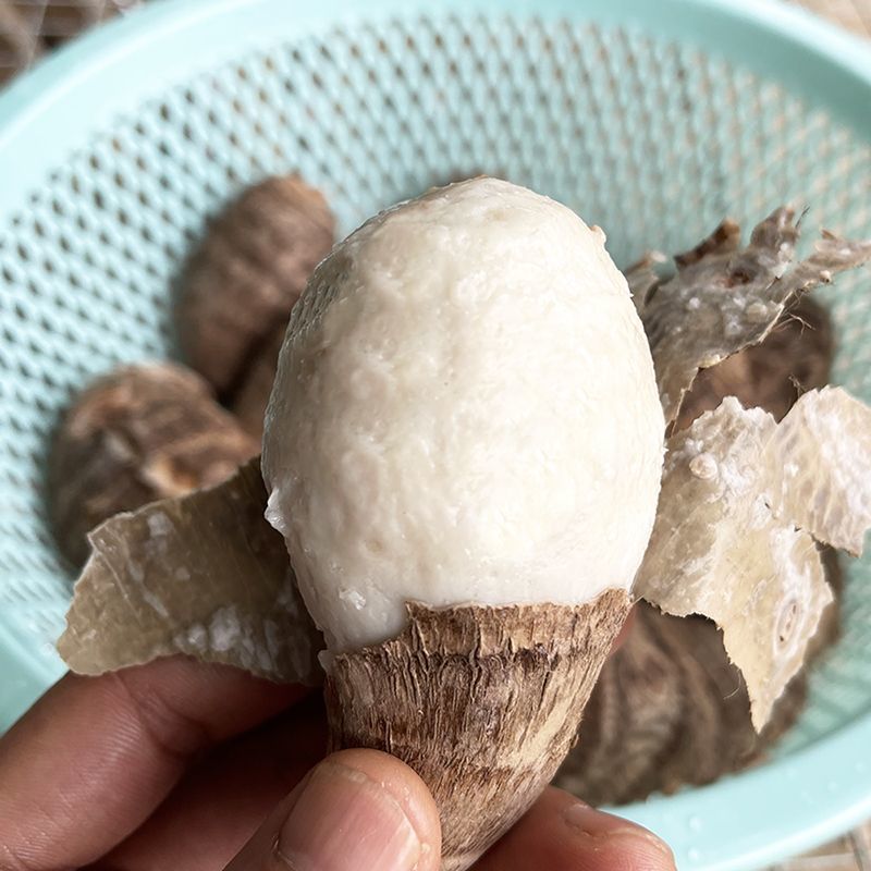 山东奶心小芋头一件代发1/3/5斤精选中球个个软糯包售后