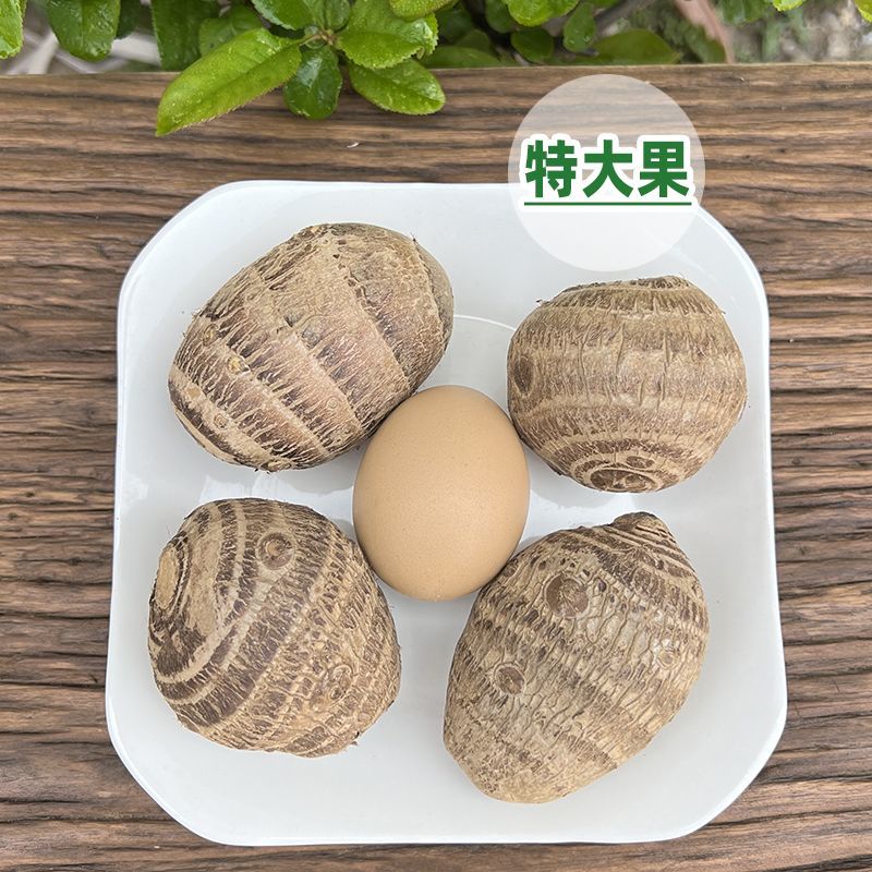 山东奶心小芋头一件代发1/3/5斤精选中球个个软糯包售后