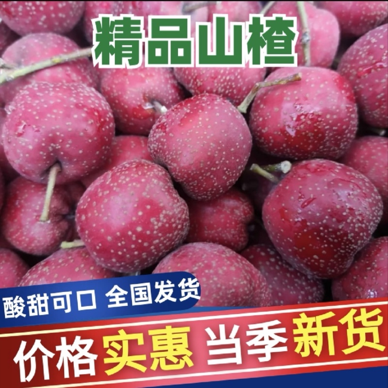 山楂甜口铁山楂糖葫芦炒雪球专用产地直供一手货源