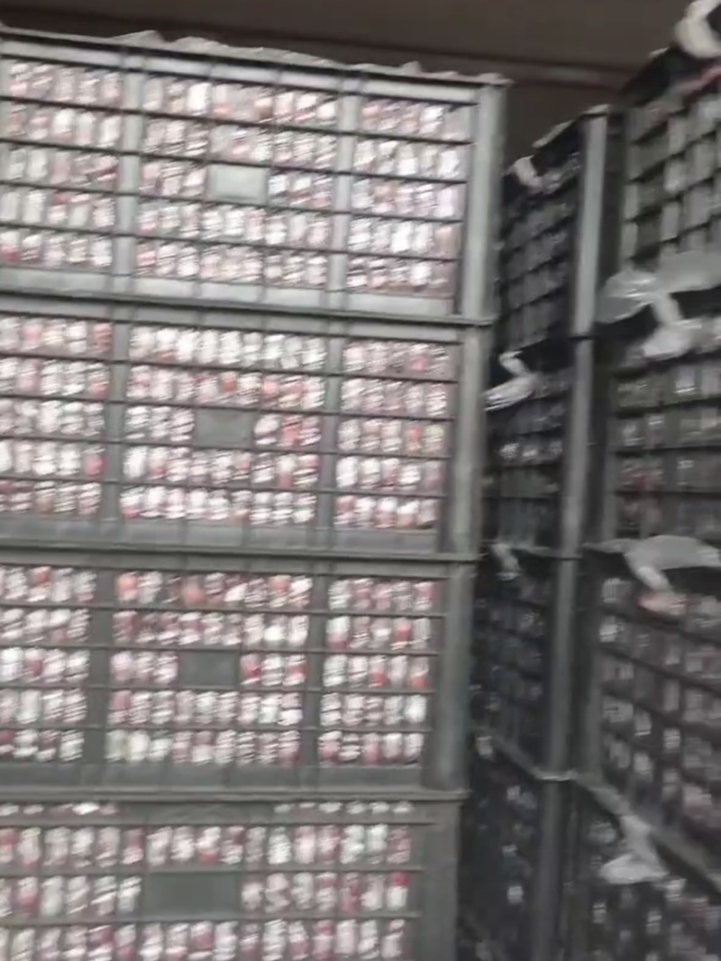 山楂甜口铁山楂糖葫芦炒雪球专用产地直供一手货源
