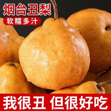 正宗山东烟台丑梨一件代发包邮包售后坏果包赔香甜多汁放软吃