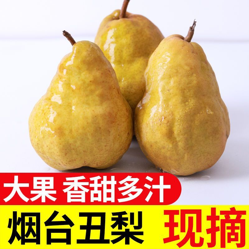 正宗山东烟台丑梨一件代发包邮包售后坏果包赔香甜多汁放软吃