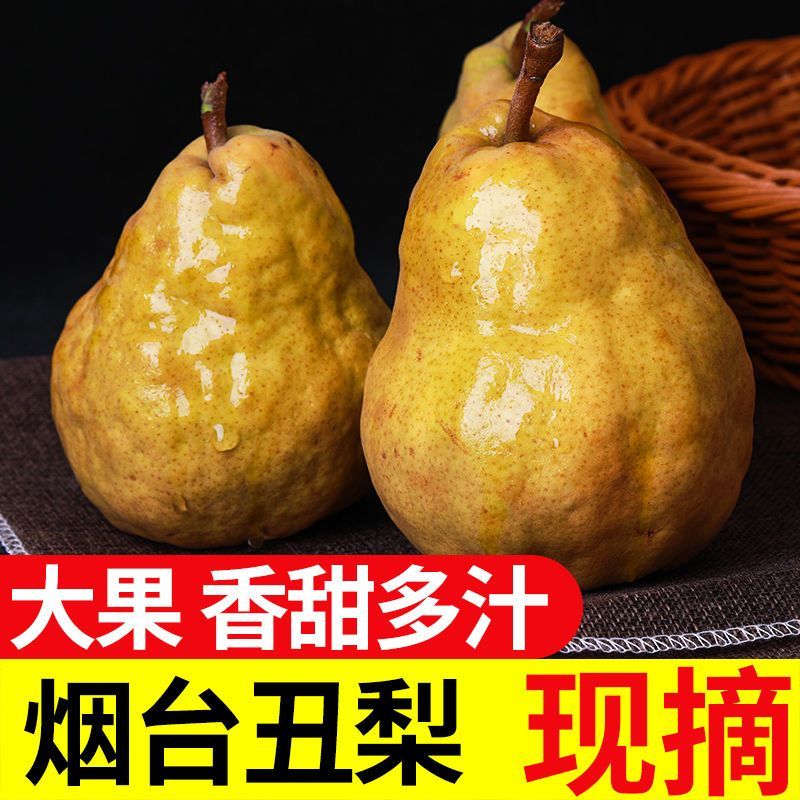 正宗山东烟台丑梨一件代发包邮包售后坏果包赔香甜多汁放软吃