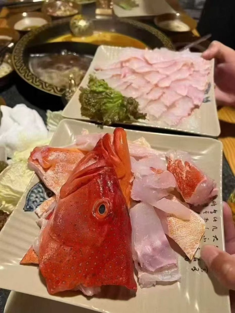新鲜速冻东星斑石斑鱼红石斑鱼酒店餐饮电商**